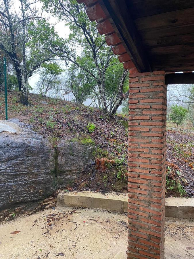 Viviendas Rurales Del Robledo Castano de Robledo Εξωτερικό φωτογραφία