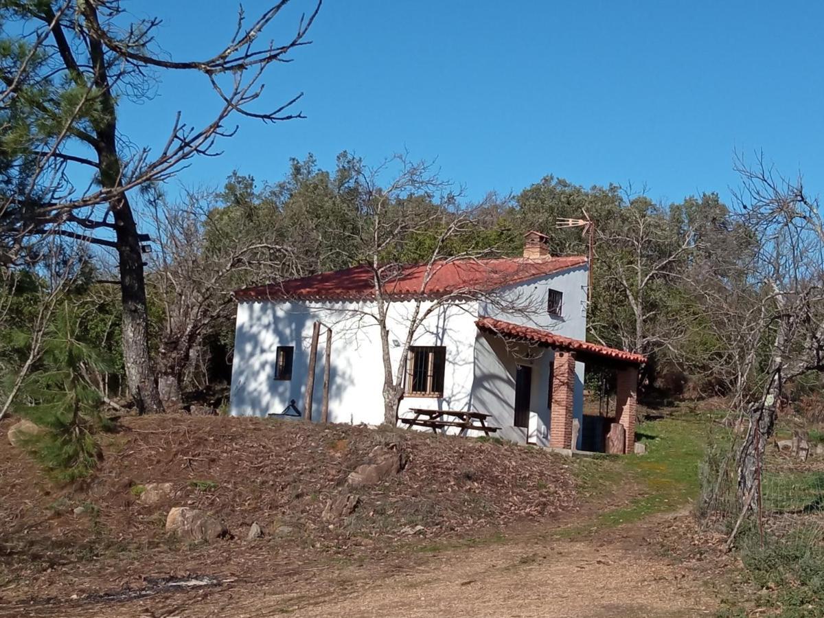 Viviendas Rurales Del Robledo Castano de Robledo Εξωτερικό φωτογραφία